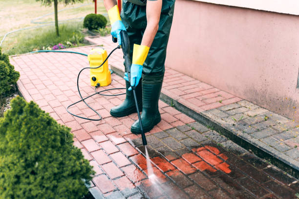 Best Fence Cleaning  in Kalida, OH
